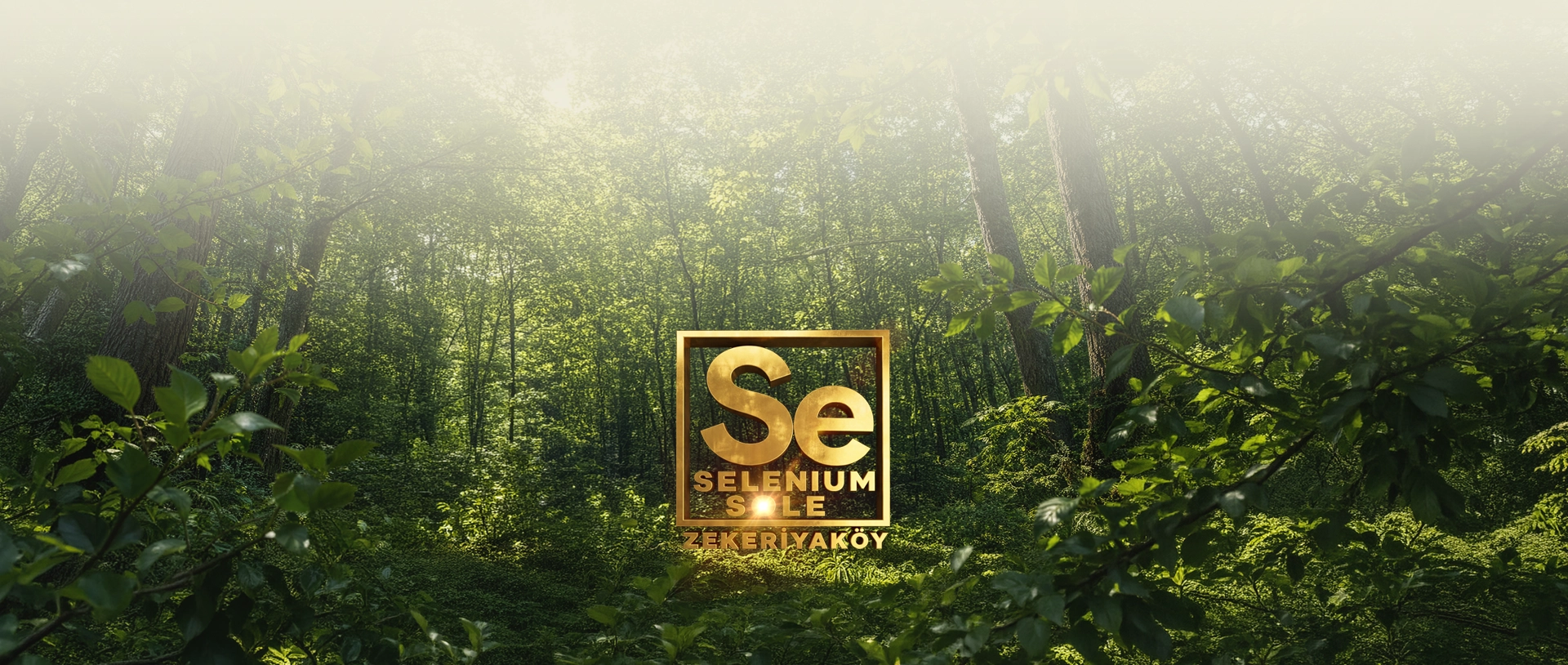 Selenium Sole Zekeriyaköy